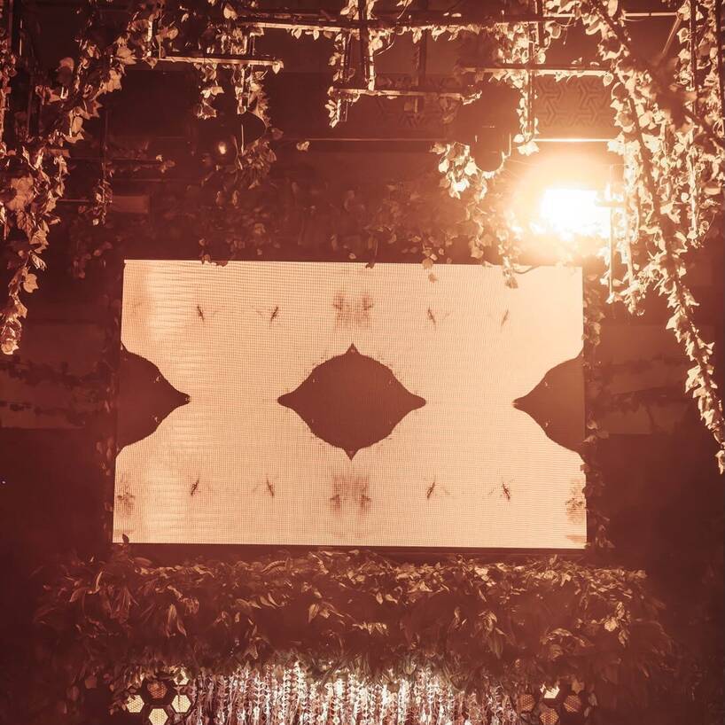 Savaya stage